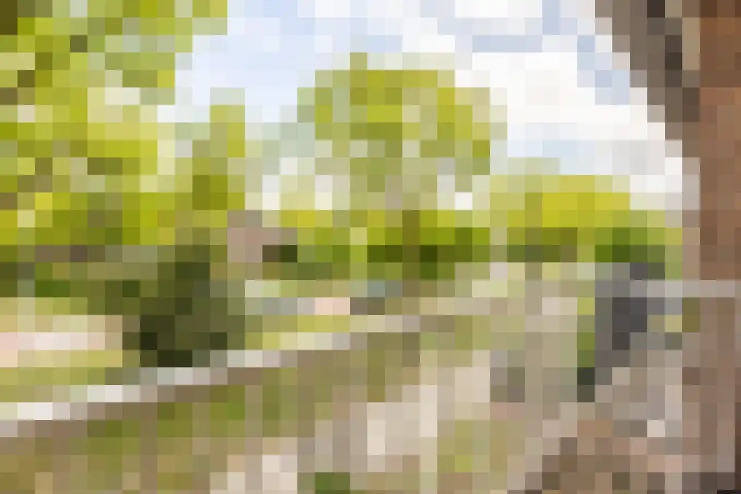 Troelstralaan 33 Heemstede thumbnail 14