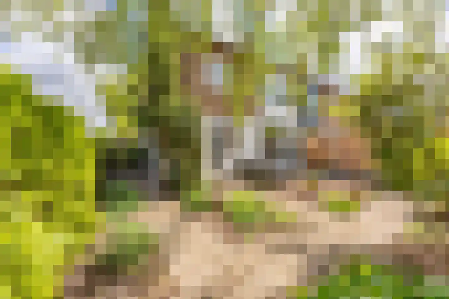 Troelstralaan 33 Heemstede thumbnail 25
