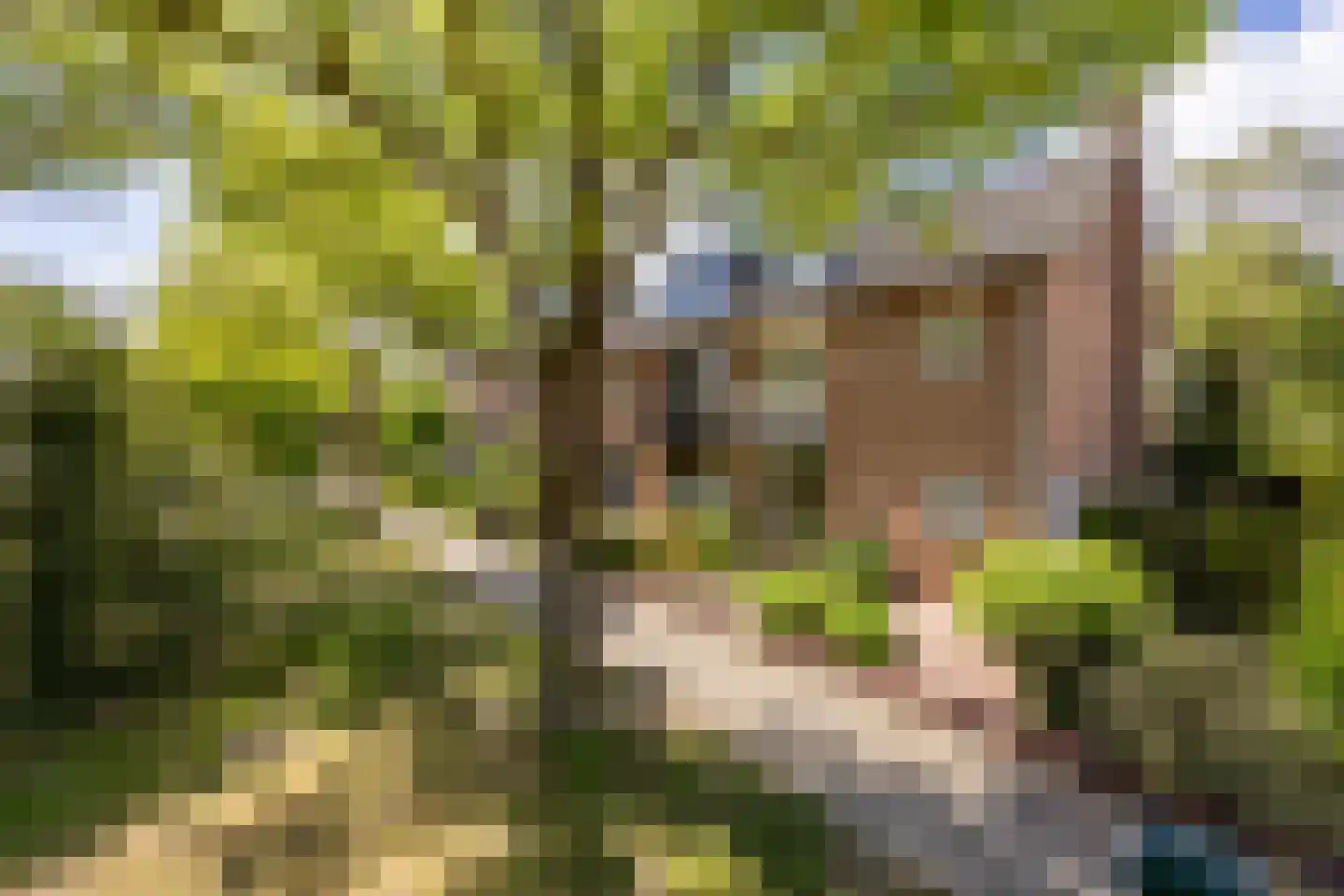 Troelstralaan 33 Heemstede thumbnail 26