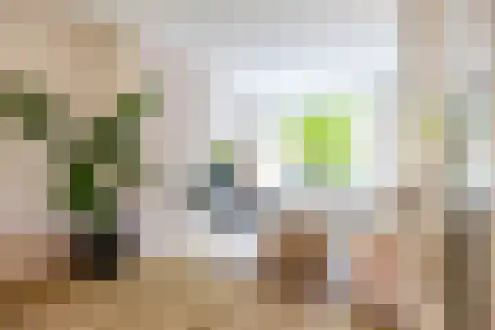 Troelstralaan 37 a Groningen thumbnail 10