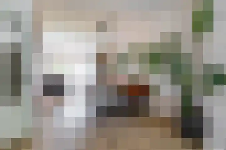 Troelstralaan 37 a Groningen thumbnail 15