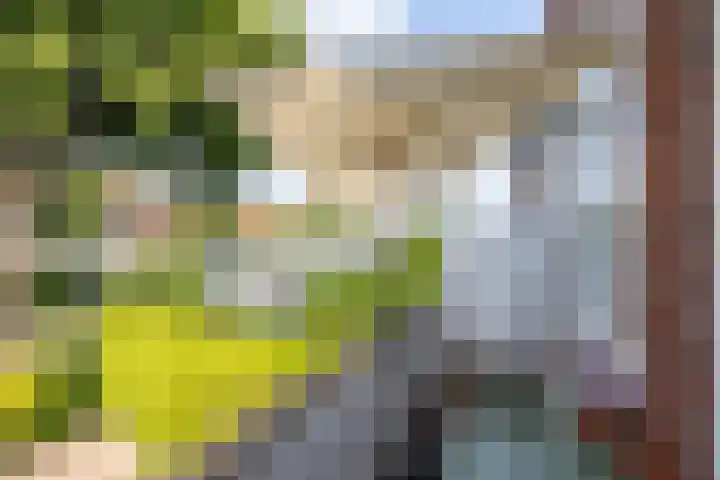 Troelstralaan 37 a Groningen thumbnail 23