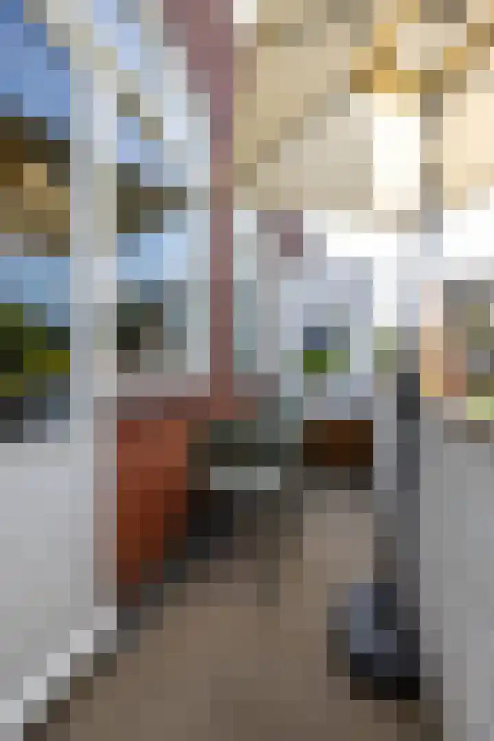 Troelstralaan 37 a Groningen thumbnail 24
