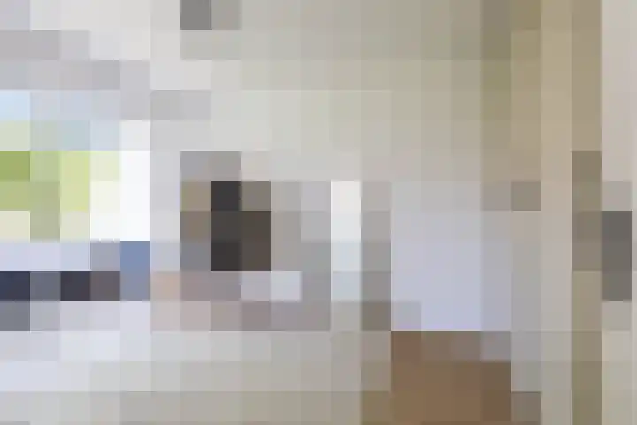 Troelstralaan 37 a Groningen thumbnail 33