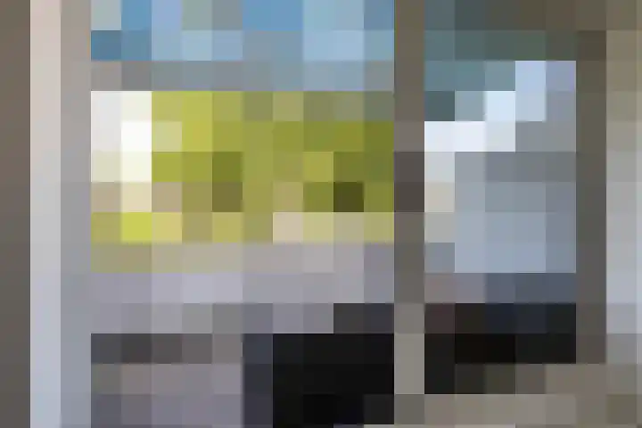 Troelstralaan 37 a Groningen thumbnail 35
