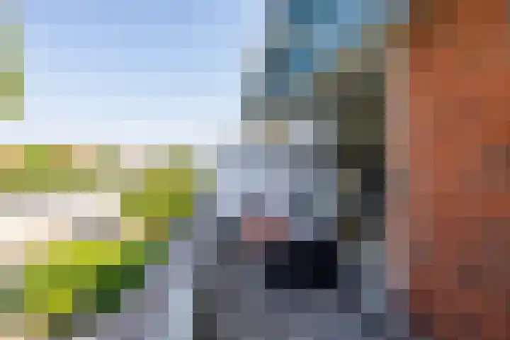 Troelstralaan 37 a Groningen thumbnail 36