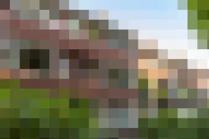 Troelstralaan 37 a Groningen thumbnail 4