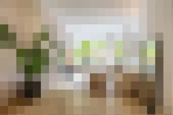 Troelstralaan 37 a Groningen thumbnail 43