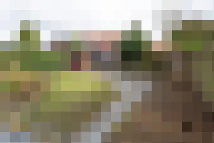 Troelstralaan 38 Brummen thumbnail 10