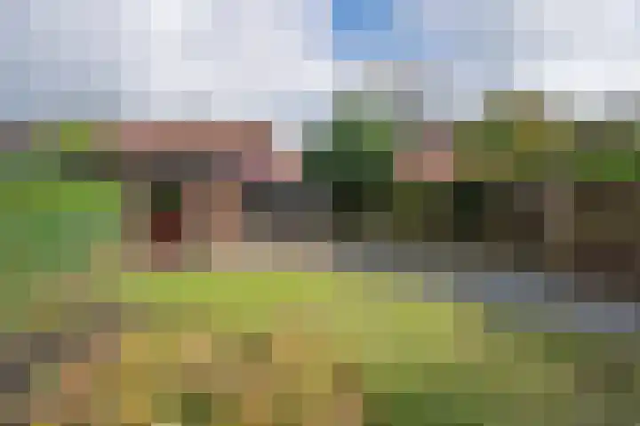 Troelstralaan 38 Brummen thumbnail 11