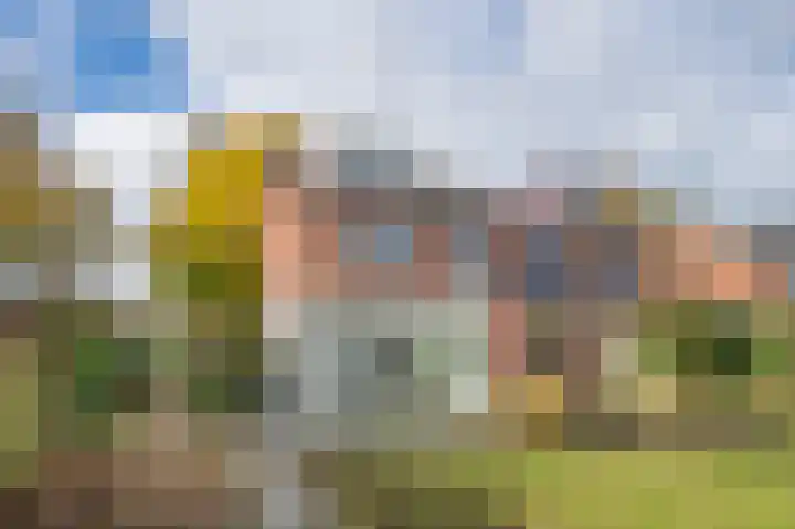 Troelstralaan 38 Brummen thumbnail 12
