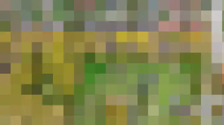 Troelstralaan 38 Brummen thumbnail 30