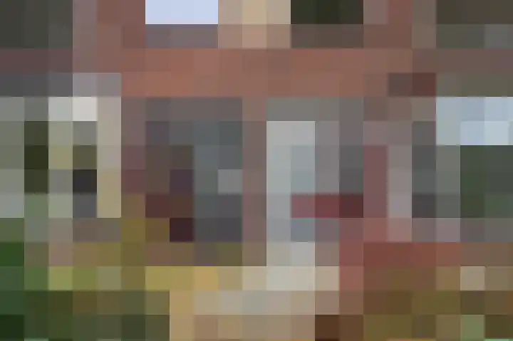 Troelstralaan 38 Brummen thumbnail 4