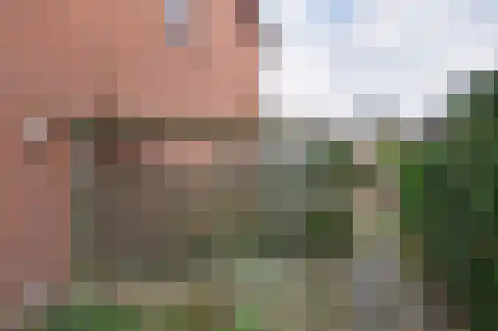 Troelstralaan 38 Brummen thumbnail 6