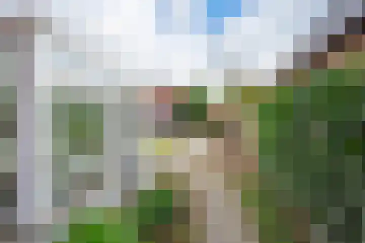 Troelstralaan 38 Brummen thumbnail 7