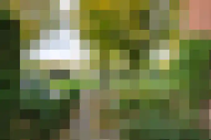 Troelstralaan 38 Brummen thumbnail 8