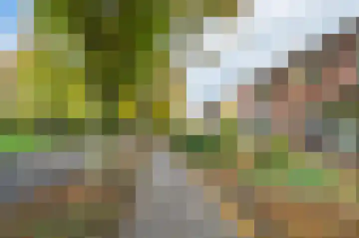 Troelstralaan 38 Brummen thumbnail 9