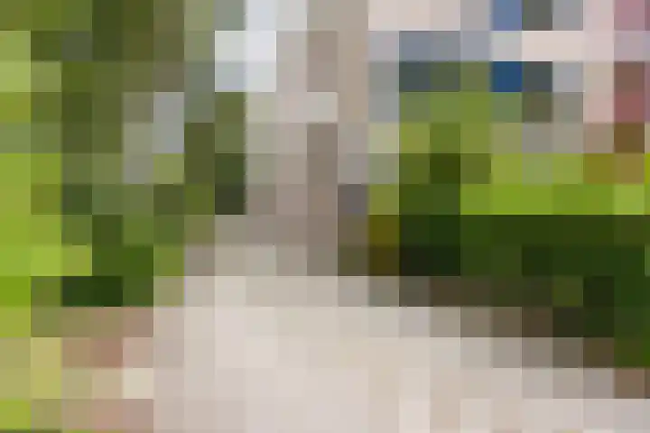 Troelstralaan 4 Groningen thumbnail 24