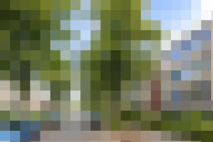 Troelstralaan 4 Groningen thumbnail 28
