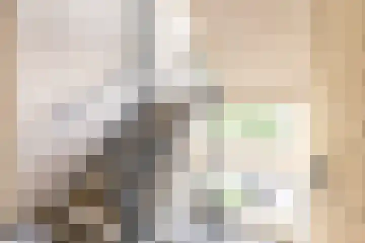 Troelstralaan 4 Groningen thumbnail 7