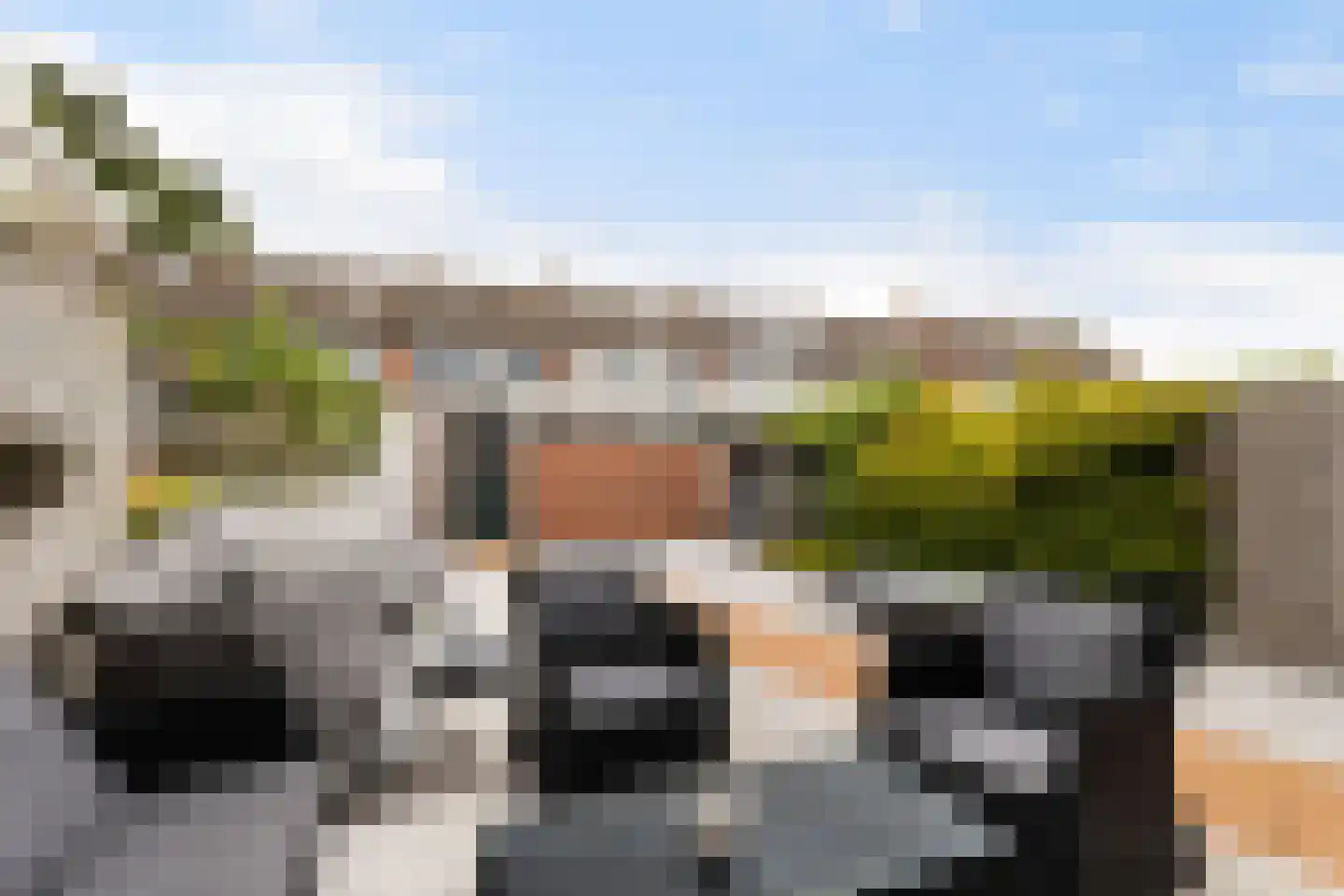 Troelstralaan 40 Woerden thumbnail 17