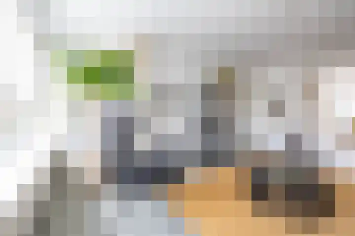 Troelstralaan 5 a Groningen thumbnail 11
