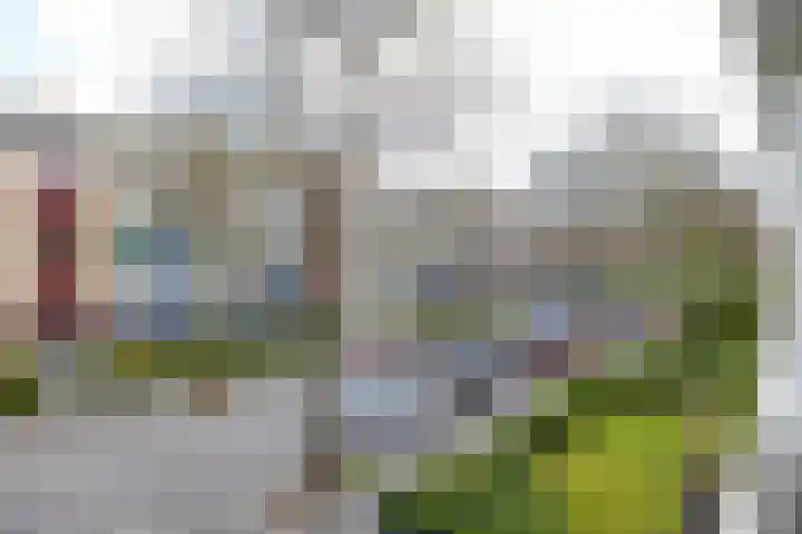 Troelstralaan 5 a Groningen thumbnail 27