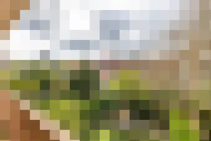 Troelstralaan 5 a Groningen thumbnail 40