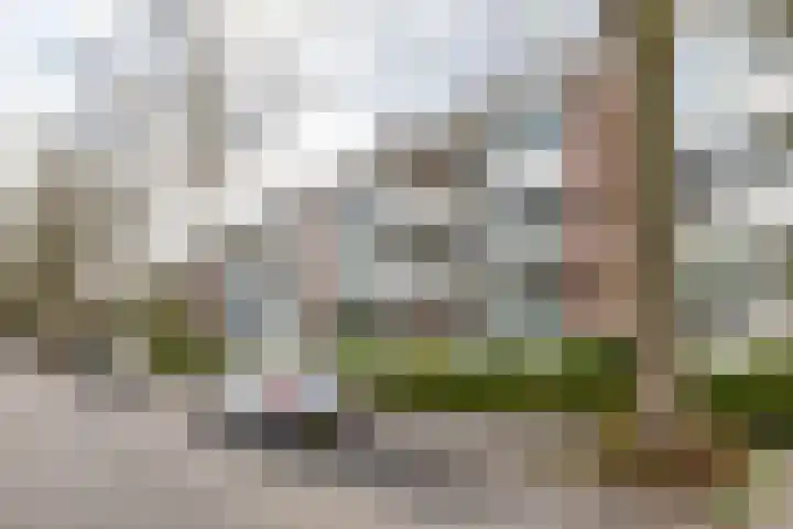 Troelstralaan 5 a Groningen thumbnail 42