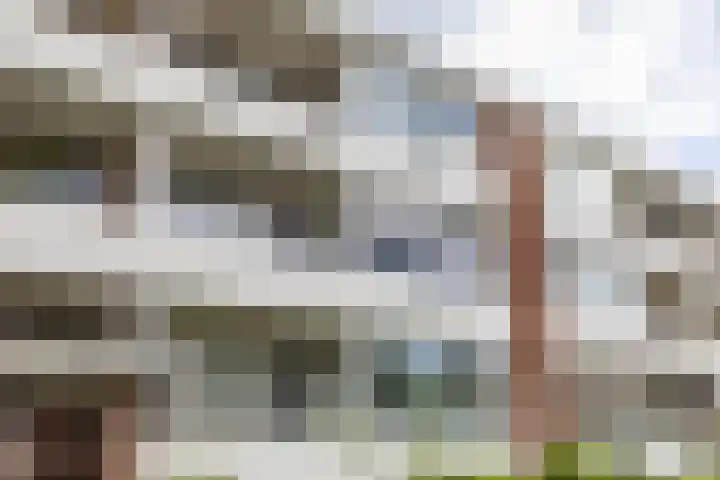 Troelstralaan 5 a Groningen thumbnail 45