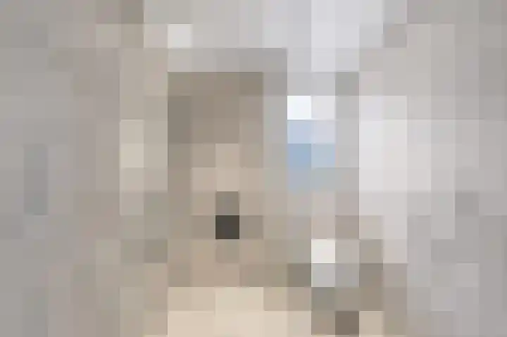 Troelstralaan 5 Brummen thumbnail 11