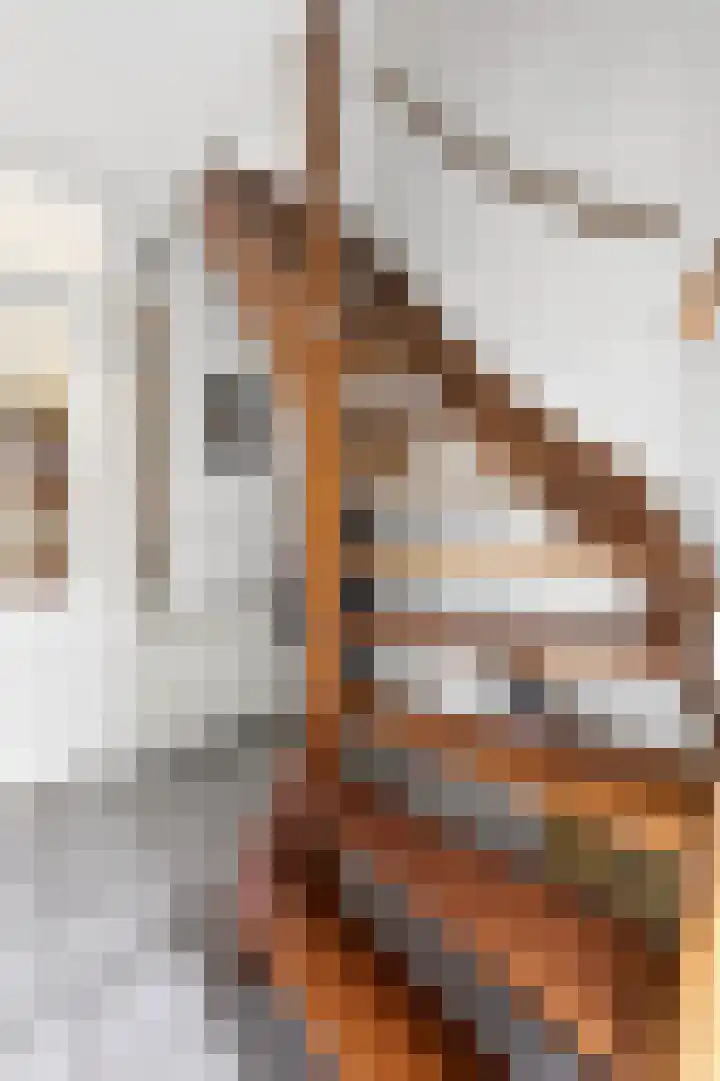 Troelstralaan 5 Brummen thumbnail 14