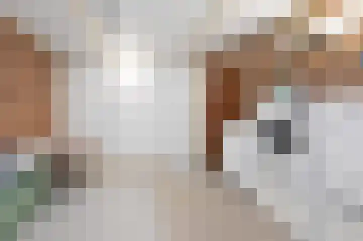 Troelstralaan 5 Brummen thumbnail 16