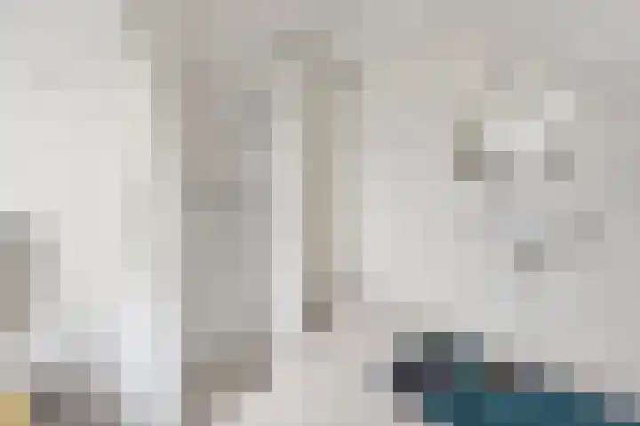 Troelstralaan 5 Brummen thumbnail 20