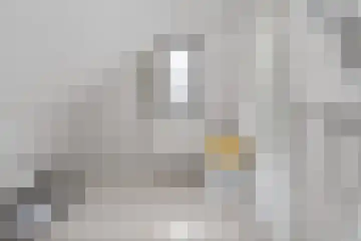 Troelstralaan 5 Brummen thumbnail 21