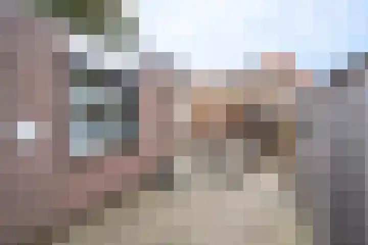 Troelstralaan 5 Brummen thumbnail 23