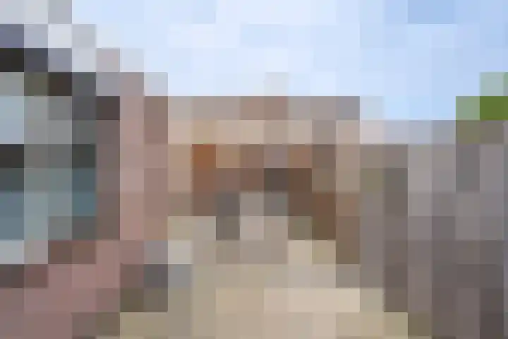 Troelstralaan 5 Brummen thumbnail 24