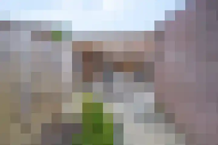 Troelstralaan 5 Brummen thumbnail 25
