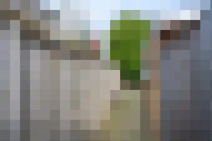 Troelstralaan 5 Brummen thumbnail 31