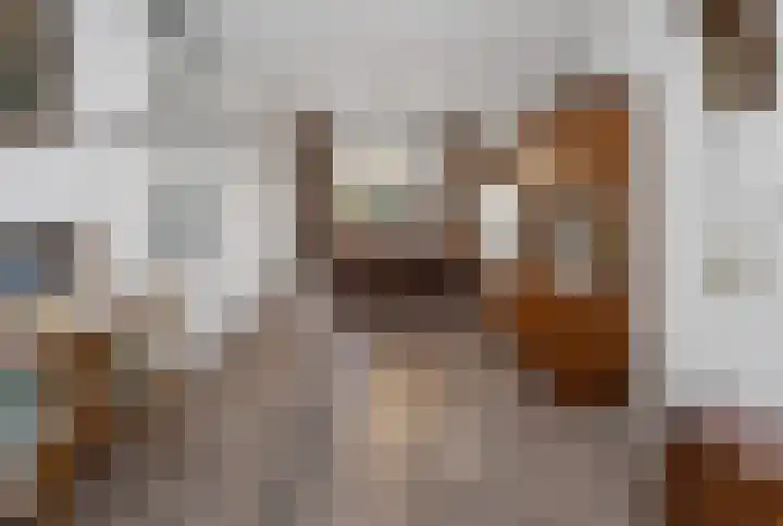 Troelstralaan 5 Brummen thumbnail 4