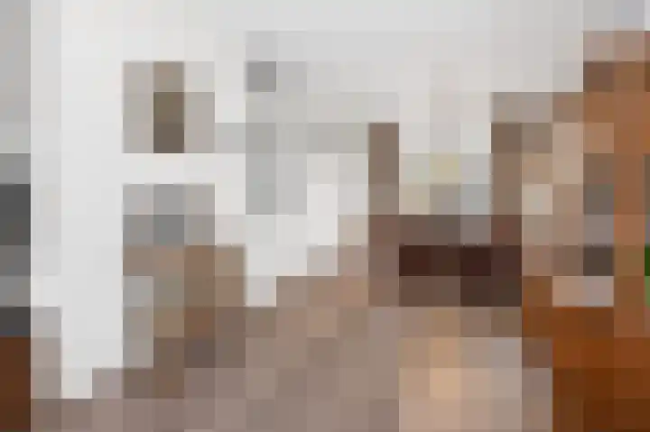 Troelstralaan 5 Brummen thumbnail 5