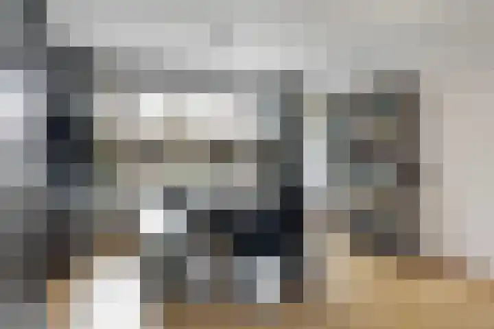 Troelstralaan 5 Buitenpost thumbnail 14