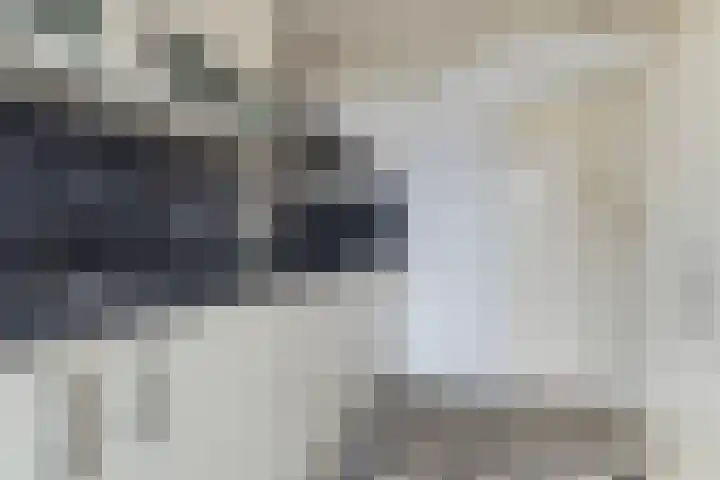 Troelstralaan 5 Buitenpost thumbnail 16