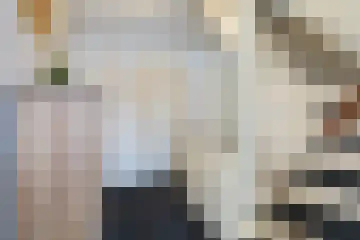 Troelstralaan 5 Buitenpost thumbnail 18