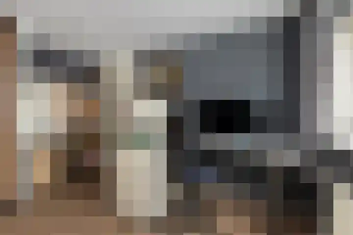 Troelstralaan 5 Buitenpost thumbnail 21