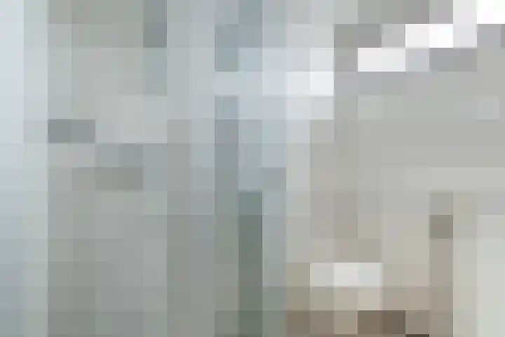 Troelstralaan 5 Buitenpost thumbnail 25