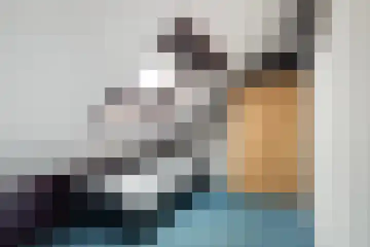 Troelstralaan 5 Buitenpost thumbnail 29