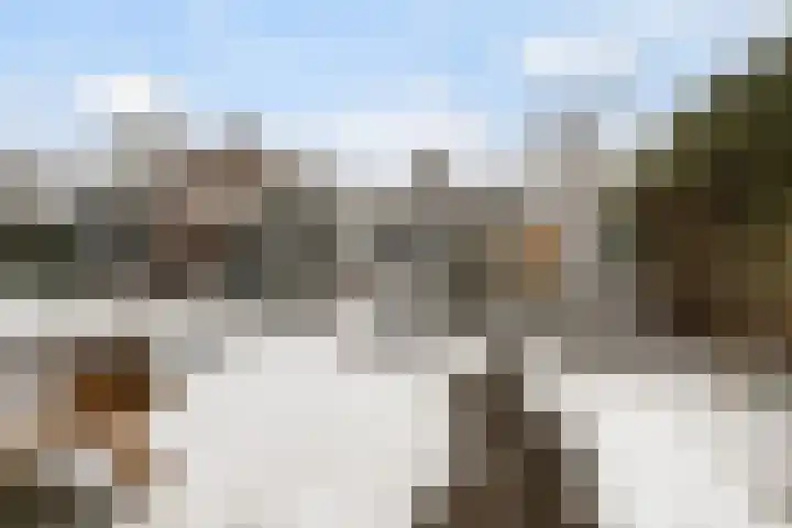 Troelstralaan 5 Buitenpost thumbnail 33