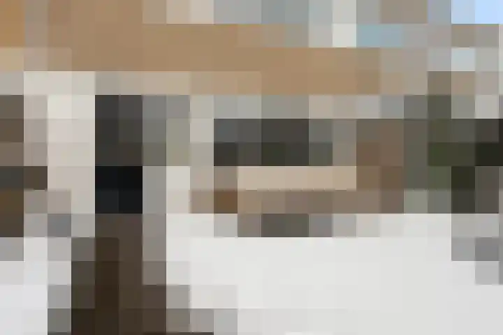 Troelstralaan 5 Buitenpost thumbnail 34
