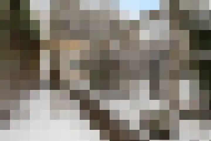 Troelstralaan 5 Buitenpost thumbnail 35